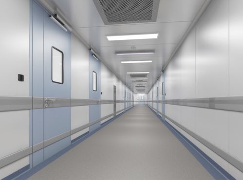 助力“中國(guó)腦計(jì)劃”啟航 北京腦科學(xué)與類腦研究中心二期裝修改造工程紀(jì)實(shí)與建筑裝飾材料的創(chuàng)新支撐